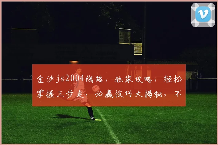 金沙js2004线路，独家攻略，轻松掌握三步走，必赢技巧大揭秘，不容错过