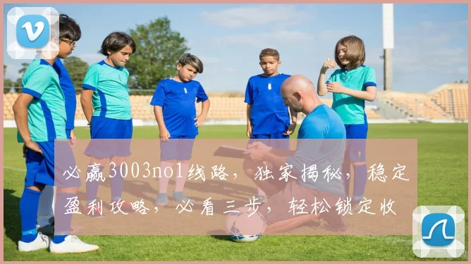 必赢3003no1线路，独家揭秘，稳定盈利攻略，必看三步，轻松锁定收益