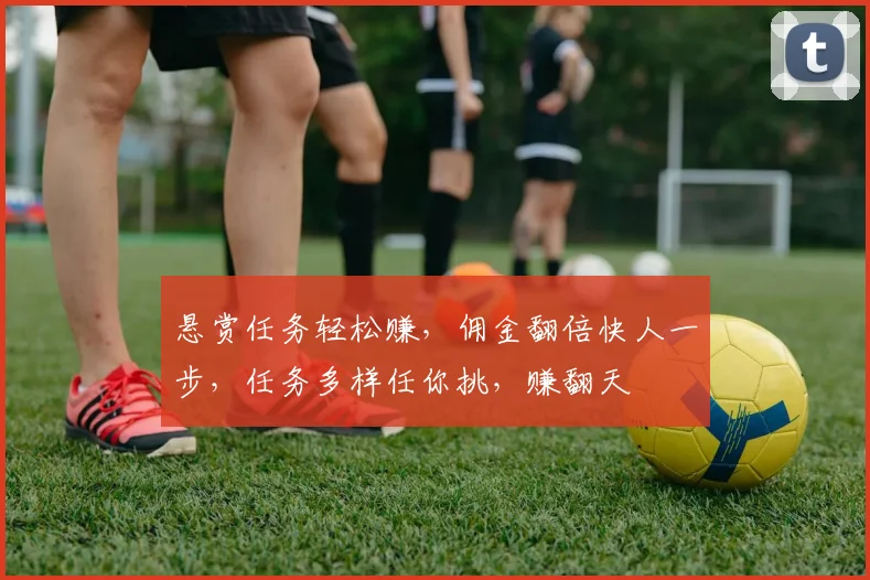 悬赏任务轻松赚，佣金翻倍快人一步，任务多样任你挑，赚翻天