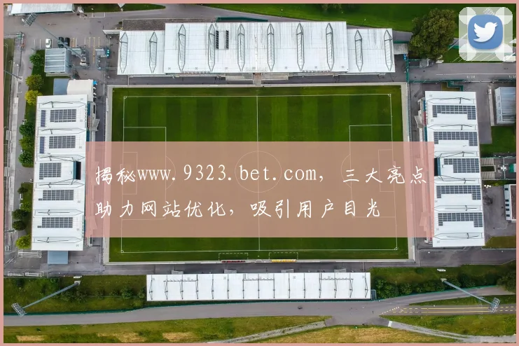 揭秘www.9323.bet.com，三大亮点助力网站优化，吸引用户目光