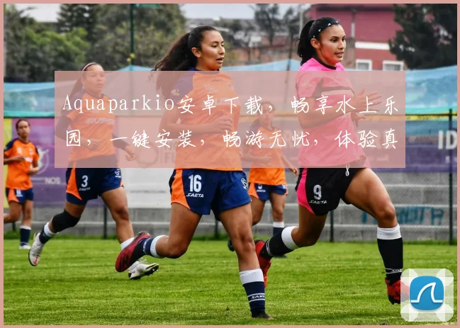 Aquaparkio安卓下载，畅享水上乐园，一键安装，畅游无忧，体验真实刺激，必下载三款