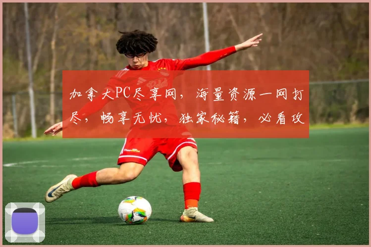 加拿大PC尽享网，海量资源一网打尽，畅享无忧，独家秘籍，必看攻略